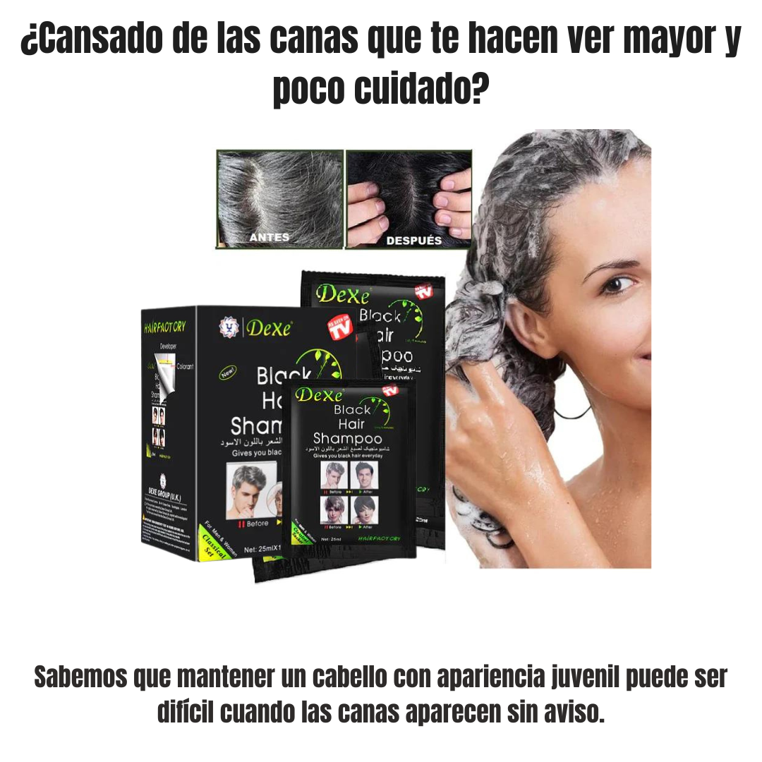 shampoo cubre canas